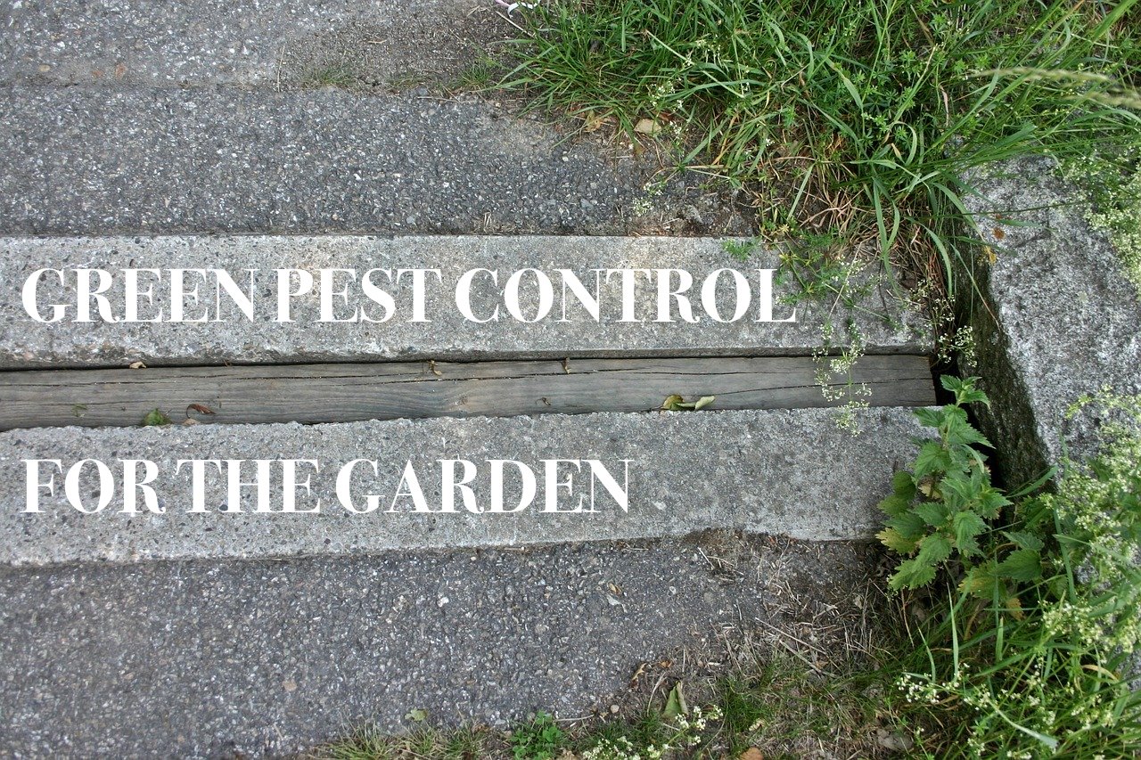 The Challenges of Green Pest Control For The Garden